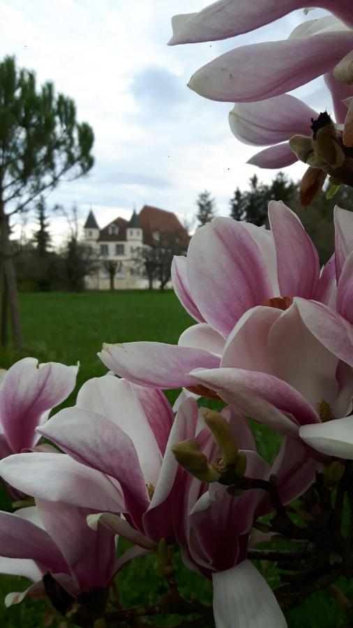 Château De Werde Matzenheim Extérieur photo