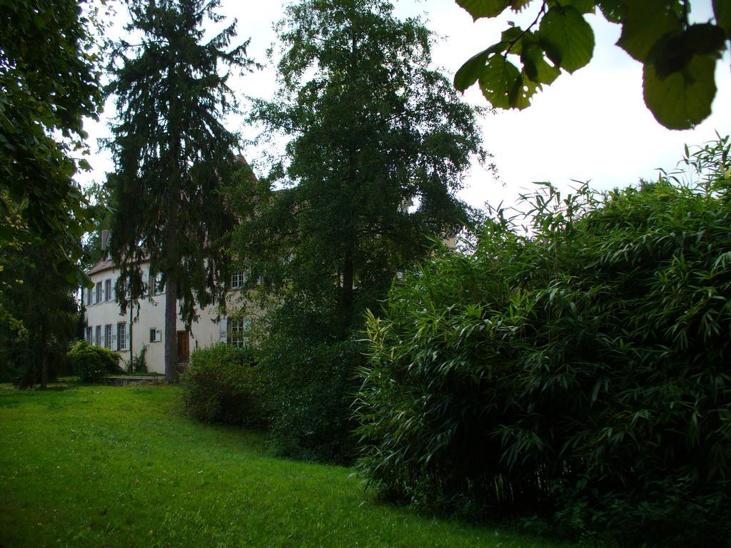 Château De Werde Matzenheim Extérieur photo