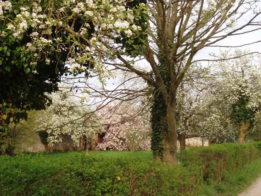 Château De Werde Matzenheim Extérieur photo