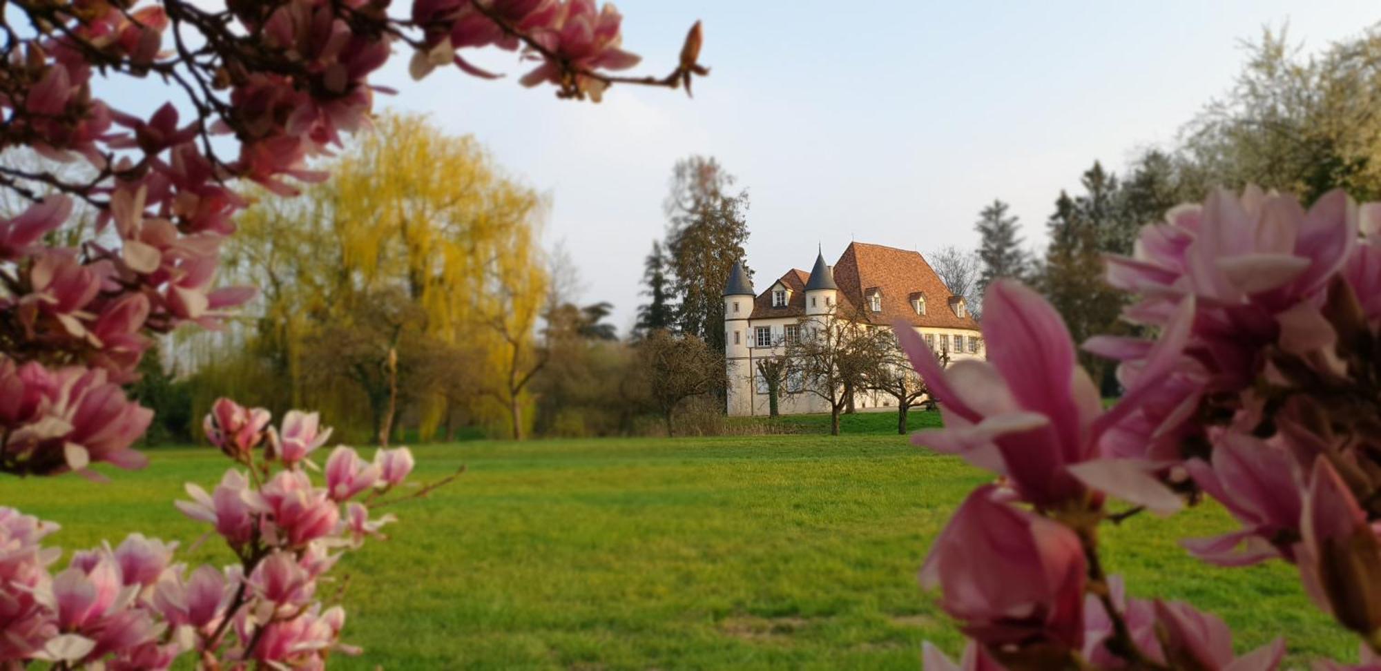 Château De Werde Matzenheim Extérieur photo