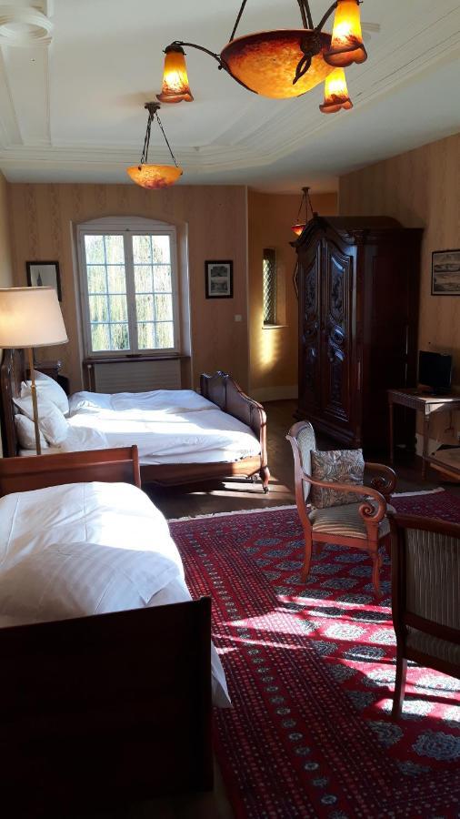 Château De Werde Matzenheim Extérieur photo